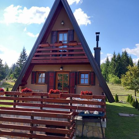 Mountain House Tadic 1 Villa Bajina Basta Dış mekan fotoğraf