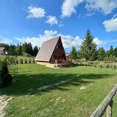 Mountain House Tadic 1 Villa Bajina Basta Dış mekan fotoğraf