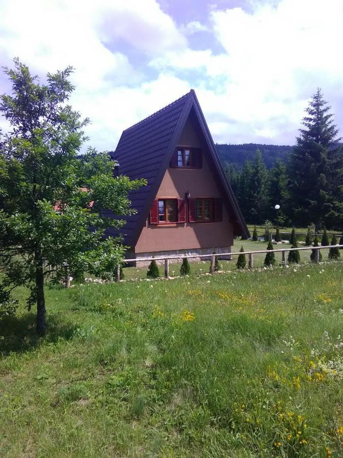 Mountain House Tadic 1 Villa Bajina Basta Dış mekan fotoğraf