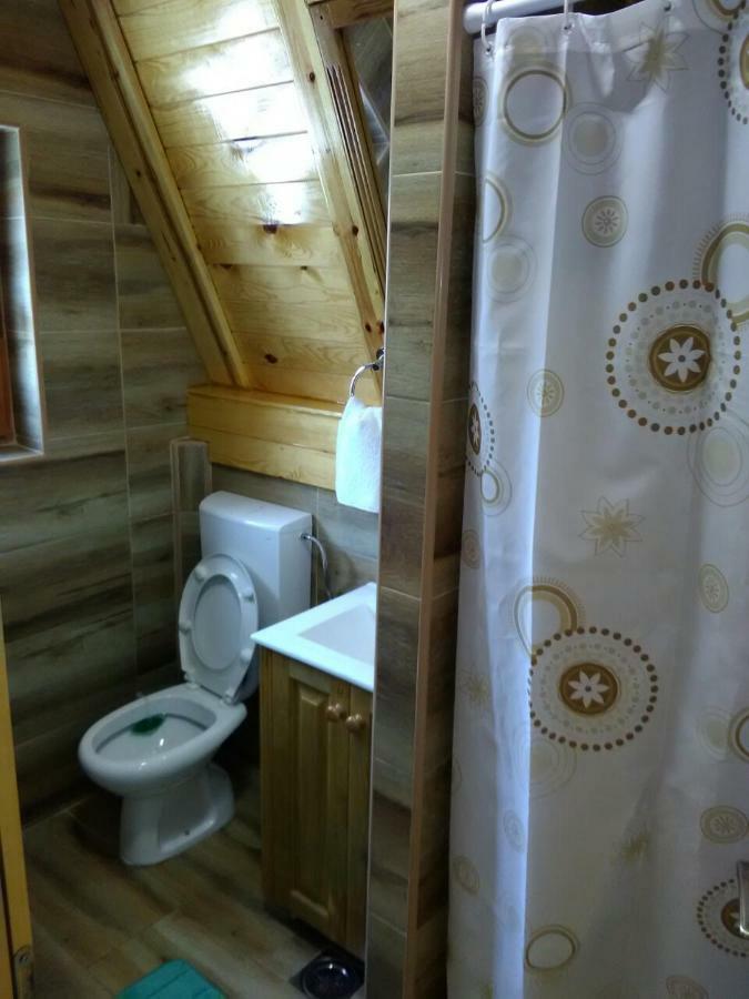 Mountain House Tadic 1 Villa Bajina Basta Dış mekan fotoğraf