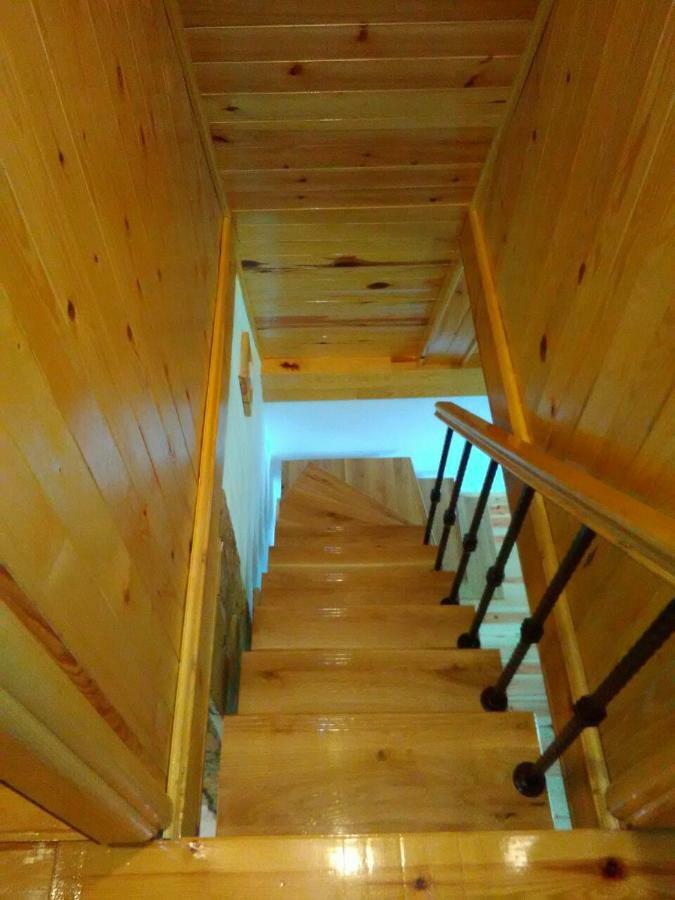 Mountain House Tadic 1 Villa Bajina Basta Dış mekan fotoğraf
