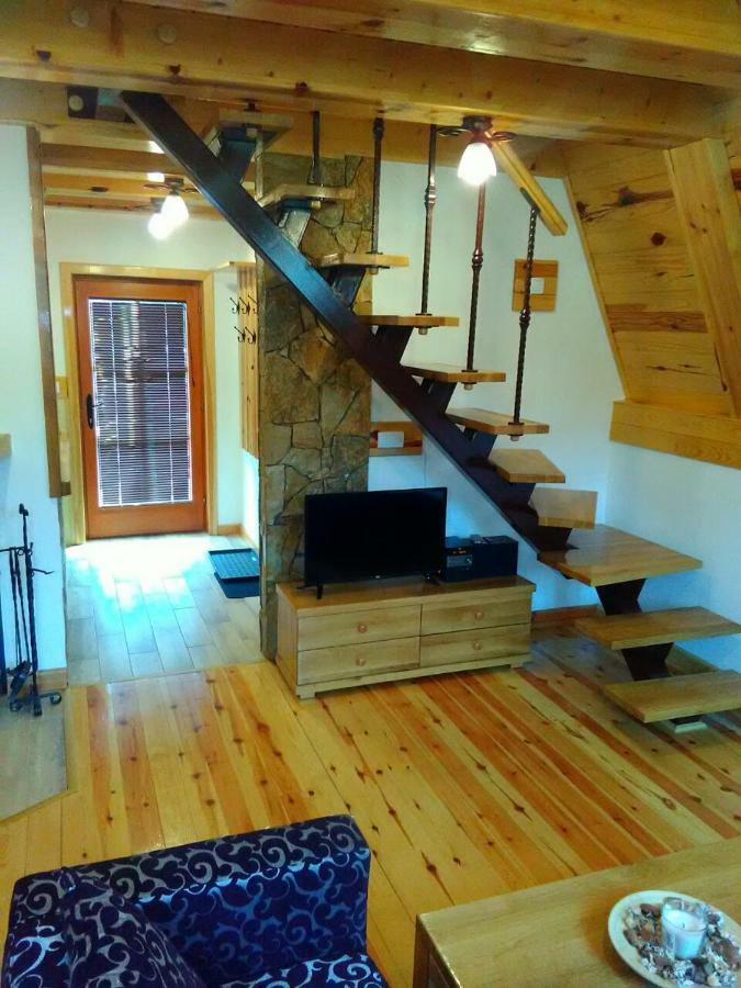 Mountain House Tadic 1 Villa Bajina Basta Dış mekan fotoğraf