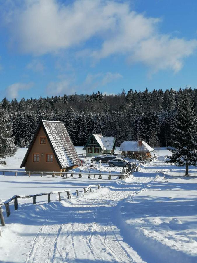 Mountain House Tadic 1 Villa Bajina Basta Dış mekan fotoğraf