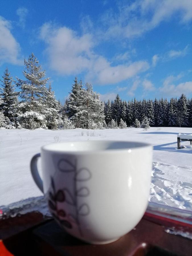 Mountain House Tadic 1 Villa Bajina Basta Dış mekan fotoğraf