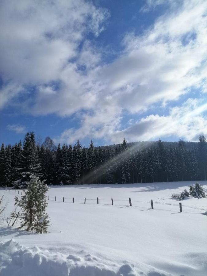 Mountain House Tadic 1 Villa Bajina Basta Dış mekan fotoğraf