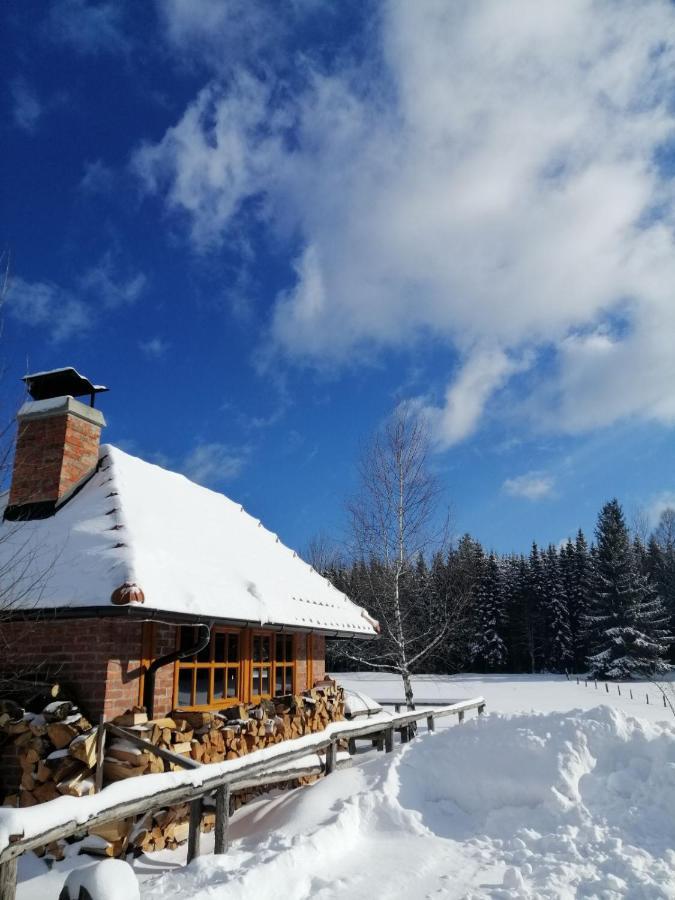 Mountain House Tadic 1 Villa Bajina Basta Dış mekan fotoğraf